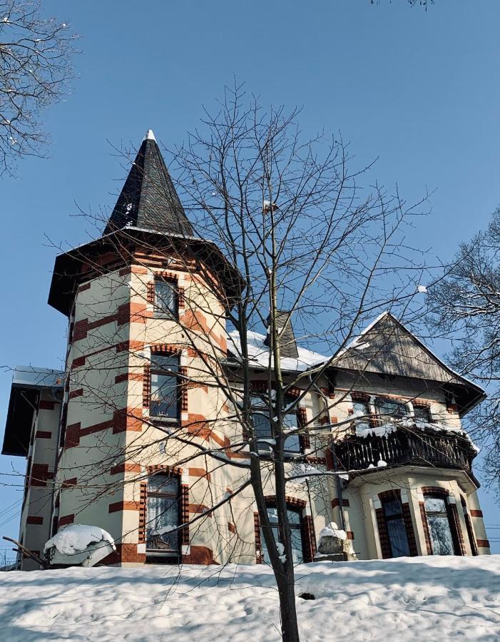 Turmvilla Vogtland Oelsnitz  Zewnętrze zdjęcie