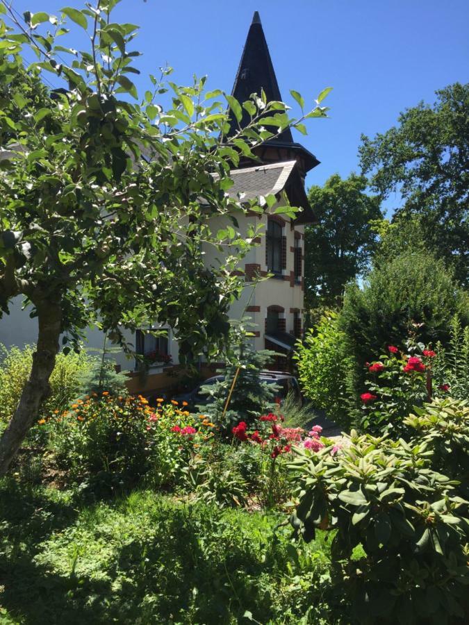 Turmvilla Vogtland Oelsnitz  Zewnętrze zdjęcie