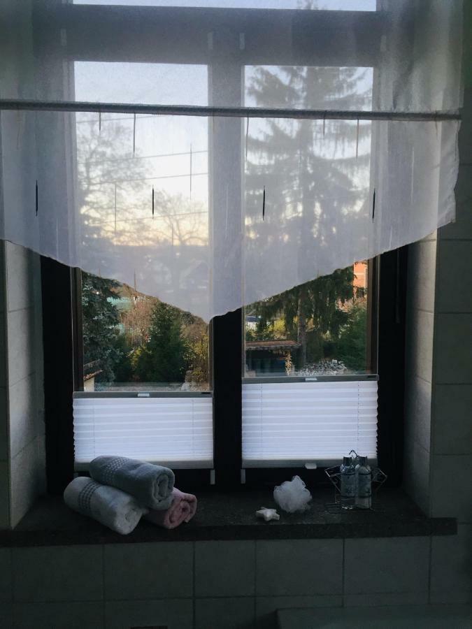 Turmvilla Vogtland Oelsnitz  Zewnętrze zdjęcie