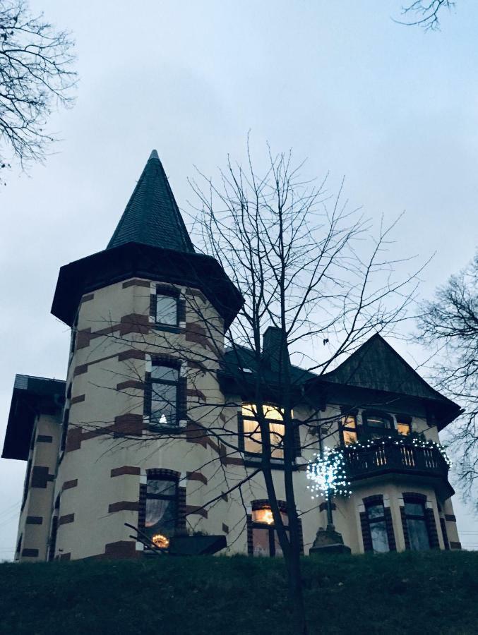 Turmvilla Vogtland Oelsnitz  Zewnętrze zdjęcie
